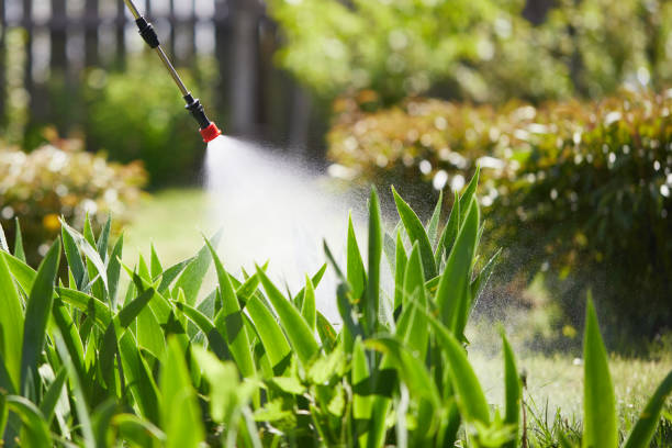 24/7 Emergency Termite Control experts in Stickney, IL