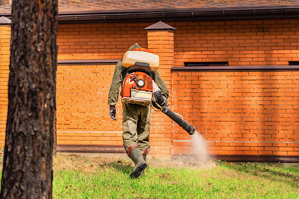 Top rated local Termite Control specialists in Stickney, IL